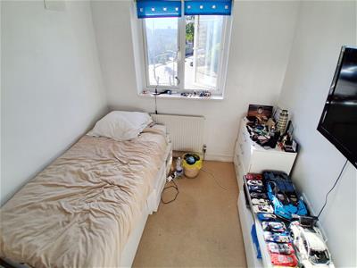 Picture 13